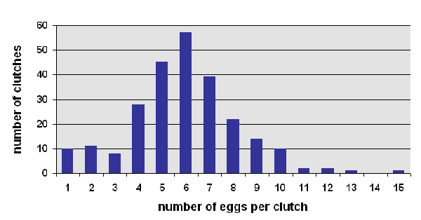clutch size of Testudo hermanni