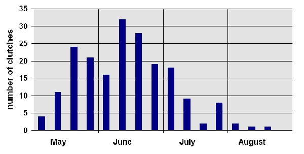 date of nesting of Testudo hermanni