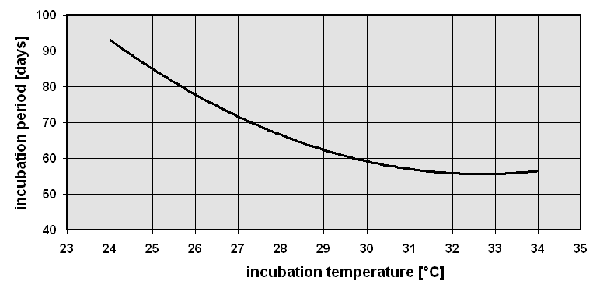 incubation period of Testudo hermanni incubation period of Testudo hermanni